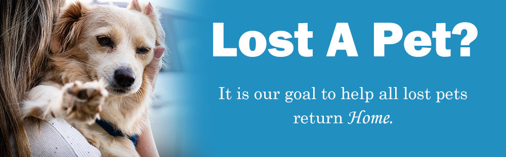 lost pet banner