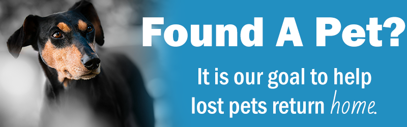 Fount a pet?