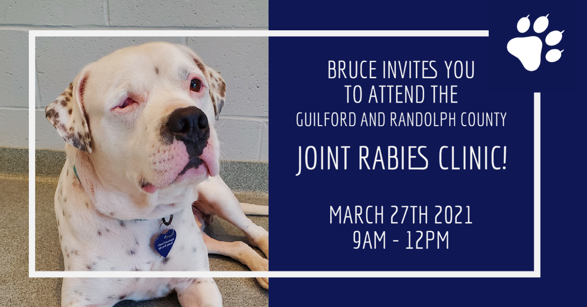 rabies clinic