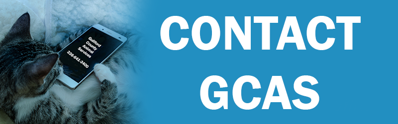 contactbanner