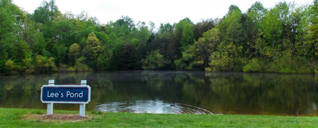 Photo of Lee's Pond