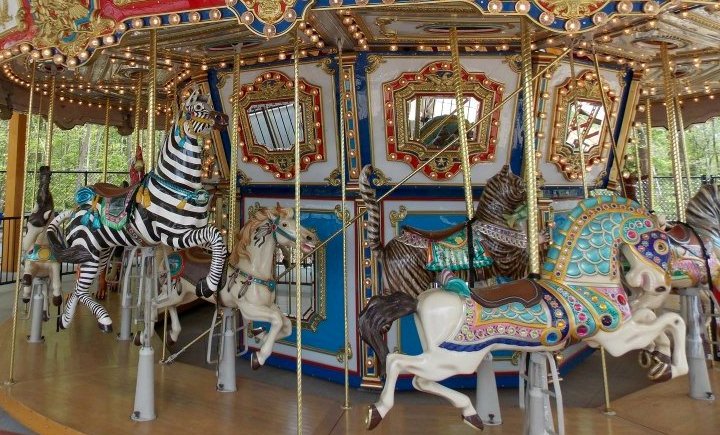 Photo of carousel